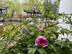 -君庭中餐厅(友谊宾馆店)