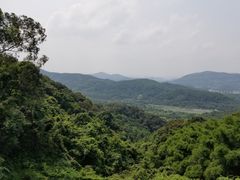 -广州市帽峰山景区