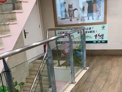 -爱侣·安琦尔宠物医院·中兽医针灸·心内科·狂犬免疫点(宝山区院)