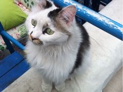 iphone_upload_pic-Sirena海妖日咖夜酒