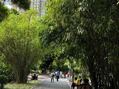 -晓港公园