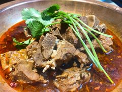 -望蝎门羊蝎子火锅(祭城店)