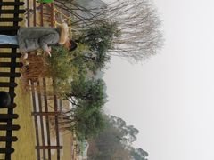 -黄龙溪欢乐田园
