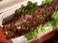 烤鲇鱼-金刚山烧烤(红旗大街店)