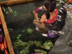 -天目湖御水温泉·度假酒店