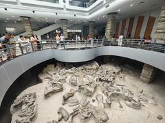 -自贡恐龙博物馆