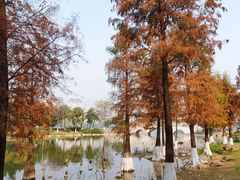 -飞来湖湿地公园