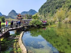 -靖西鹅泉风景区