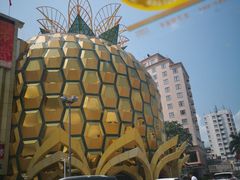 -九毛九西北菜(大东海店)