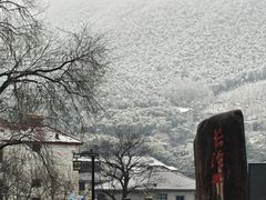 -安吉龙王山风景区