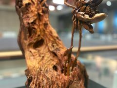 -北京工艺美术博物馆