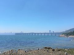 -星海湾跨海大桥
