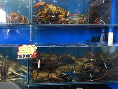 -蚝专家(北滘店)