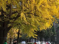 -四川大学(望江校区)
