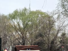 -长白岛森林公园