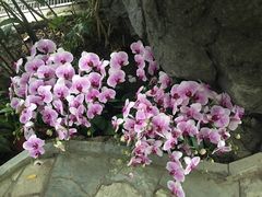 -北京植物园-展览温室