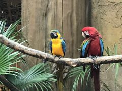 -杭州开元森泊度假乐园