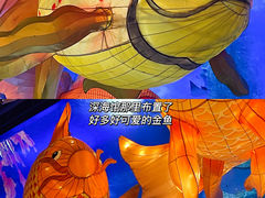 -正佳极地海洋世界