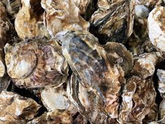 -宾朋海鲜美食餐厅·特色美食(兴海路店)