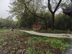 -兰亭风景区