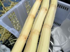 -水果地带(中航国际店)