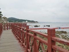 -养马岛旅游度假区