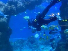 -海合安青岛极地海洋公园