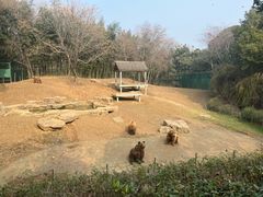 -扬州市茱萸湾风景区