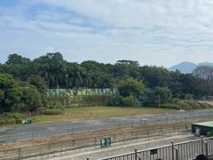 -深圳野生动物园