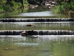 -广州白江湖森林公园