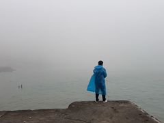 -枸杞岛