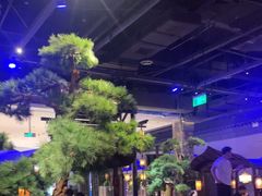 -绿茶餐厅(千岛湖银泰城店)