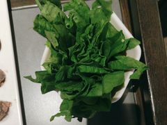 -额尔敦传统涮(公园西路店)