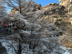 -崂山巨峰游览区