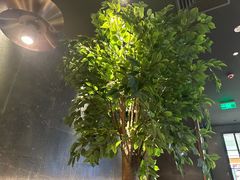 -同仁四季椰子鸡(无锡滨湖万象汇店)