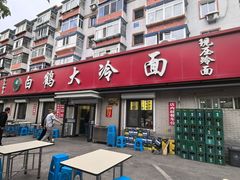 -白鹤大冷面