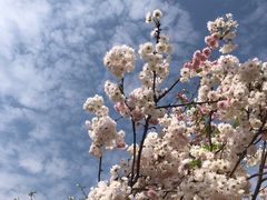 -观澜湖生态运动公社