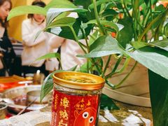 -谭鸭血老火锅(七宝万科广场店)
