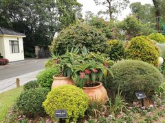 -东莞植物园