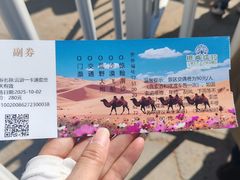 -银肯塔拉沙漠生态旅游景区