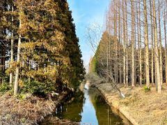 -东平国家森林公园