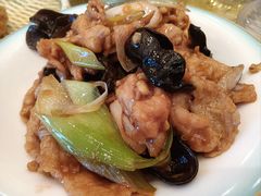 -凯鸽酒楼(大同振兴街店)