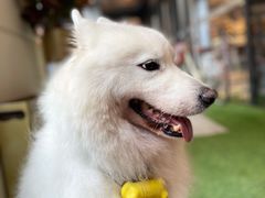 -Peet's Coffee皮爷咖啡(万象天地店)