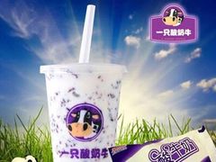 -一只酸奶牛(八一路店)