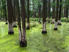 -艾溪湖湿地公园