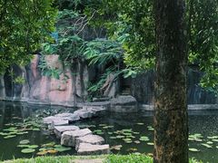 -深圳国际园林花卉博览园