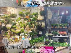 -循礼门鲜花花市(武汉循礼门店)