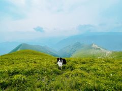 -蔚县茶山村