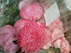 -天虹超市(大西洋店)