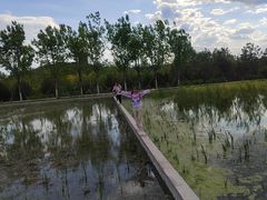 -永定河休闲森林公园